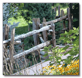 Decorative Fence